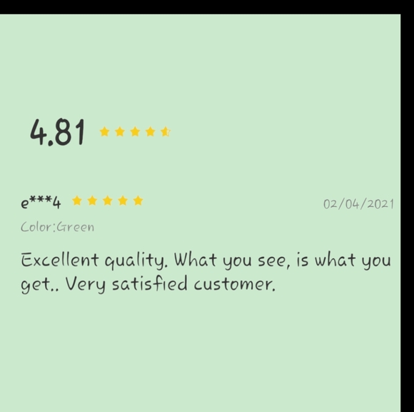 🌱NWT Minty Mini Flap Chain Bag - Picture 6 of 6